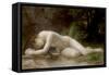 Biblis or Byblus-William Adolphe Bouguereau-Framed Stretched Canvas