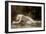 Biblis or Byblus-William Adolphe Bouguereau-Framed Art Print