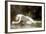 Biblis-William Adolphe Bouguereau-Framed Art Print