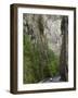 Bicaz Gorge, Moldavia, Romania, Europe-Gary Cook-Framed Photographic Print