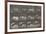 Biches, course et sauts-Eadweard Muybridge-Framed Giclee Print