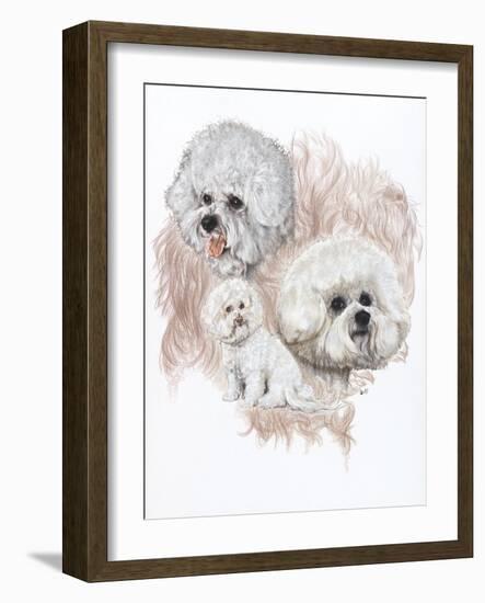 Bichon Frise-Barbara Keith-Framed Giclee Print