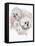 Bichon Frise-Barbara Keith-Framed Stretched Canvas