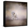 Bichon on the Go-Jai Johnson-Framed Stretched Canvas