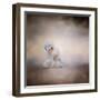 Bichon on the Go-Jai Johnson-Framed Premium Giclee Print