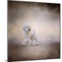 Bichon on the Go-Jai Johnson-Mounted Premium Giclee Print