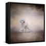 Bichon on the Go-Jai Johnson-Framed Stretched Canvas