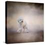 Bichon on the Go-Jai Johnson-Stretched Canvas