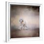 Bichon on the Go-Jai Johnson-Framed Giclee Print