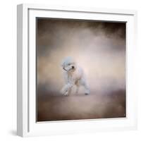 Bichon on the Go-Jai Johnson-Framed Giclee Print