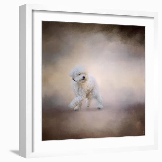 Bichon on the Go-Jai Johnson-Framed Giclee Print