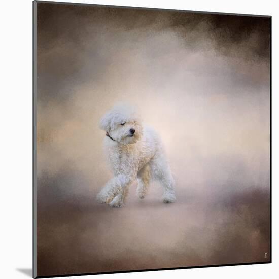 Bichon on the Go-Jai Johnson-Mounted Giclee Print