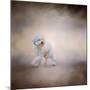 Bichon on the Go-Jai Johnson-Mounted Giclee Print