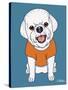 Bichon Puppy Cut-Tomoyo Pitcher-Stretched Canvas