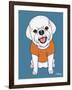 Bichon Puppy Cut-Tomoyo Pitcher-Framed Giclee Print