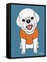 Bichon Puppy Cut-Tomoyo Pitcher-Framed Stretched Canvas