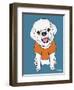 Bichon Puppy Cut-Tomoyo Pitcher-Framed Giclee Print