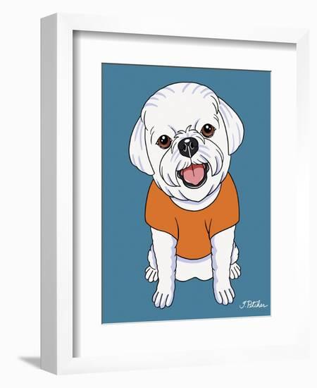 Bichon Puppy Cut-Tomoyo Pitcher-Framed Giclee Print