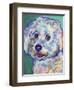 Bichon - Ruben-Dawgart-Framed Giclee Print