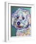 Bichon - Ruben-Dawgart-Framed Giclee Print