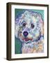 Bichon - Ruben-Dawgart-Framed Giclee Print