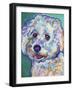 Bichon - Ruben-Dawgart-Framed Giclee Print