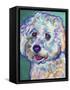 Bichon - Ruben-Dawgart-Framed Stretched Canvas