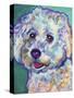 Bichon - Ruben-Dawgart-Stretched Canvas