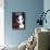 Bichon-Ken Bailey-Giclee Print displayed on a wall