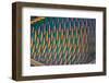 bicolor parrotfish male, scales detail, sinai, egypt, red sea-alex mustard-Framed Photographic Print