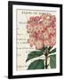 Bicolor Phlox Botany-Sue Schlabach-Framed Art Print