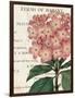 Bicolor Phlox Botany-Sue Schlabach-Framed Art Print