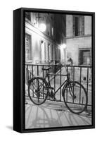 Bicycle against railing, Paris, France-Panoramic Images-Framed Stretched Canvas