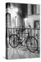 Bicycle against railing, Paris, France-Panoramic Images-Stretched Canvas