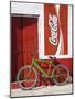 Bicycle Against Storefromt, Rio Lagartos, Yucatan, Mexico-Julie Eggers-Mounted Photographic Print