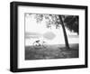 Bicycle and Bay Mau Lake Lenin Park-Walter Bibikow-Framed Photographic Print