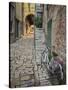 Bicycle and Cobblestone Alleyway, Rovigno, Croatia-Adam Jones-Stretched Canvas