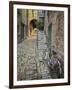 Bicycle and Cobblestone Alleyway, Rovigno, Croatia-Adam Jones-Framed Premium Photographic Print