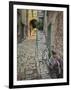 Bicycle and Cobblestone Alleyway, Rovigno, Croatia-Adam Jones-Framed Premium Photographic Print