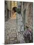 Bicycle and Cobblestone Alleyway, Rovigno, Croatia-Adam Jones-Mounted Photographic Print