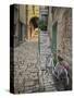 Bicycle and Cobblestone Alleyway, Rovigno, Croatia-Adam Jones-Stretched Canvas