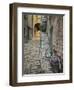 Bicycle and Cobblestone Alleyway, Rovigno, Croatia-Adam Jones-Framed Photographic Print