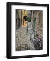 Bicycle and Cobblestone Alleyway, Rovigno, Croatia-Adam Jones-Framed Photographic Print