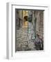 Bicycle and Cobblestone Alleyway, Rovigno, Croatia-Adam Jones-Framed Photographic Print