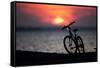 Bicycle at Sunset, Jersey Shore, New Jersey-Paul Souders-Framed Stretched Canvas