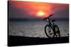 Bicycle at Sunset, Jersey Shore, New Jersey-Paul Souders-Stretched Canvas