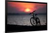 Bicycle at Sunset, Jersey Shore, New Jersey-Paul Souders-Framed Photographic Print