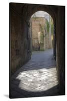 Bicycle at the End of Tunnel, Lucca, Italy-Terry Eggers-Stretched Canvas