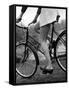 Bicycle Being Ridden by a Typical American Girl-Nina Leen-Framed Stretched Canvas