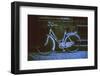 Bicycle by Andre Burian-André Burian-Framed Photographic Print